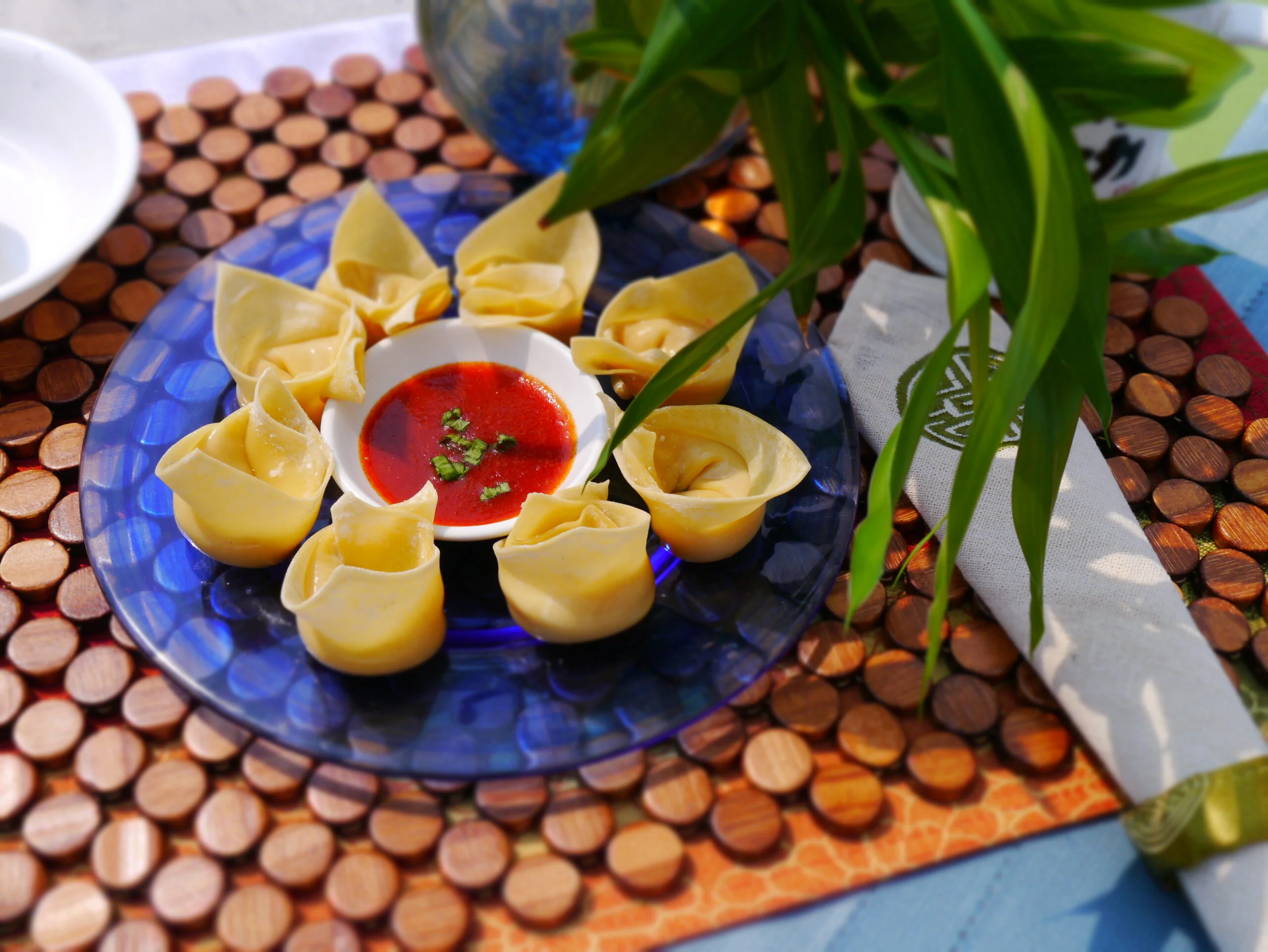 Chicken Wonton
