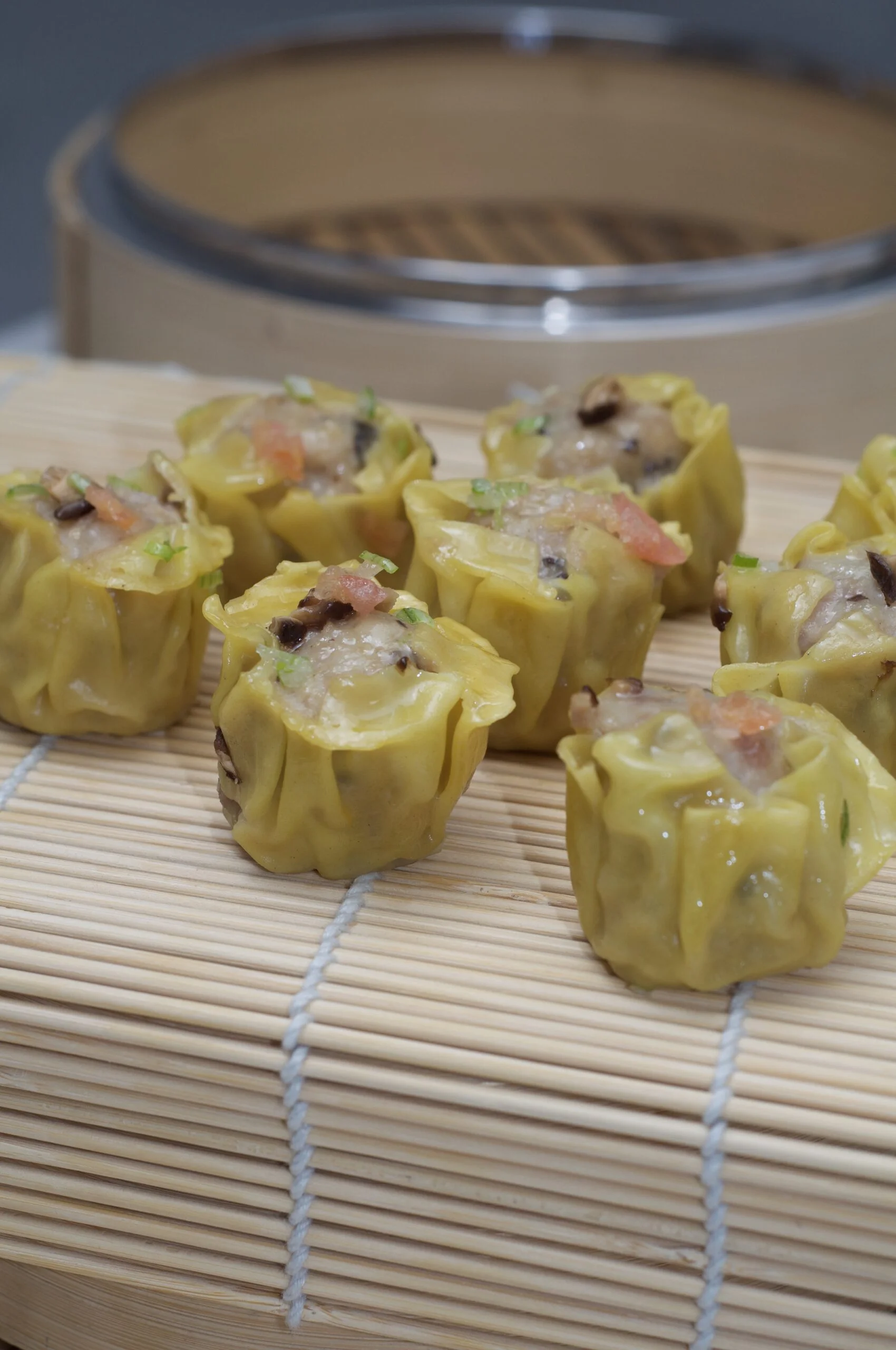 Turkey Dim Sum