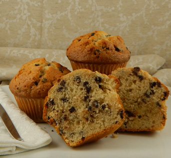 Chocolate Chip Muffin