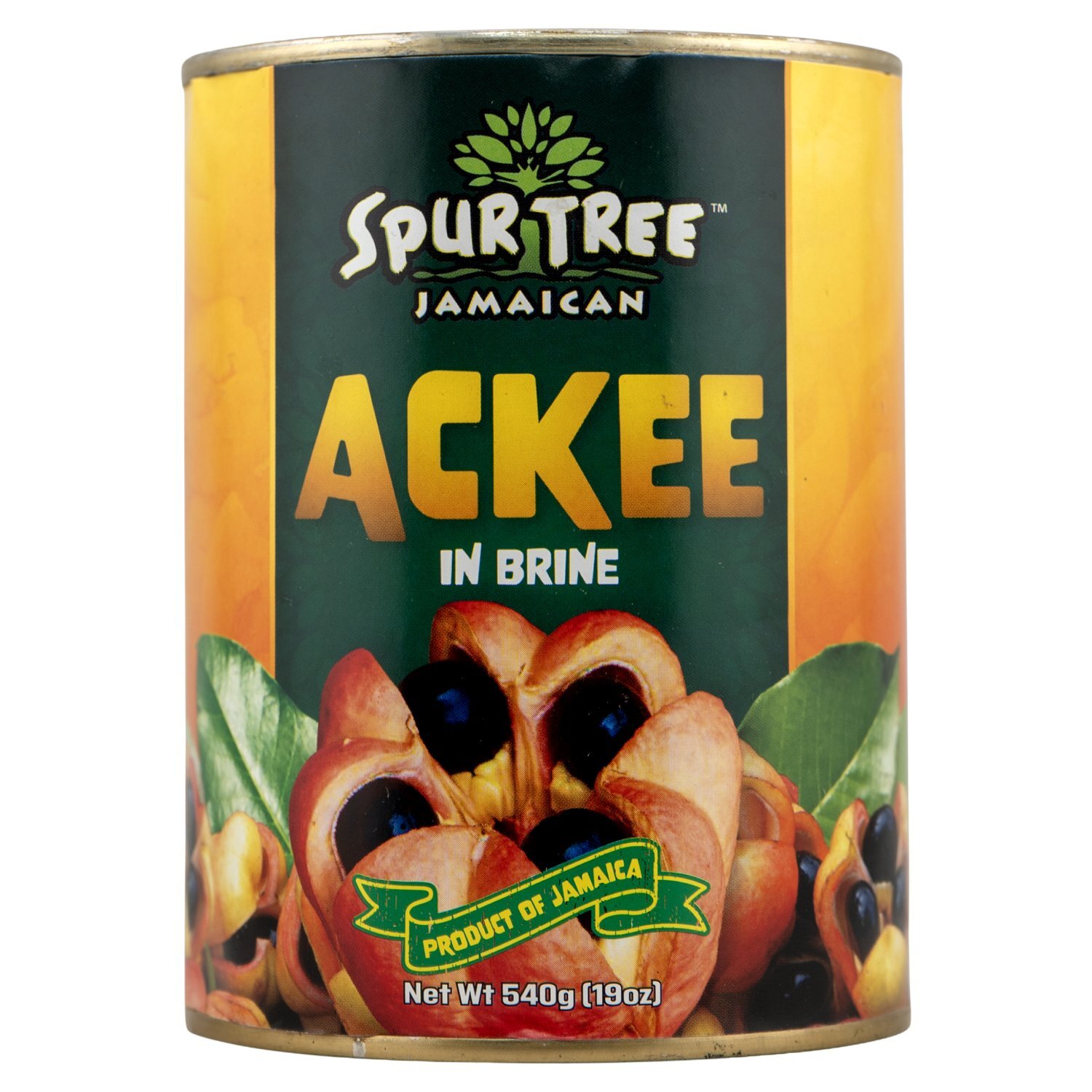 Jamaican Spur Tree Ackee
