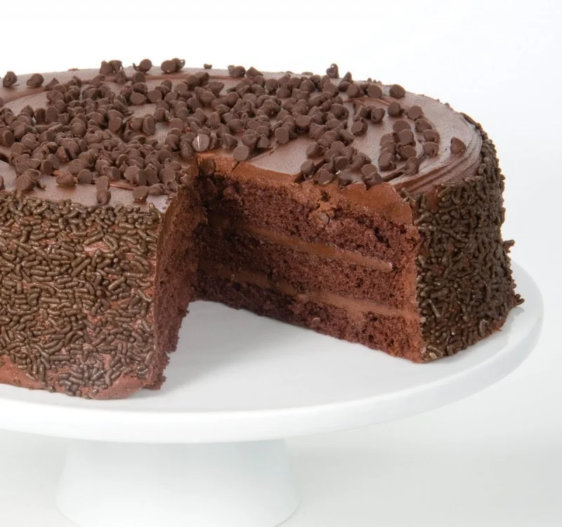 10" Chocolate Chip Cake