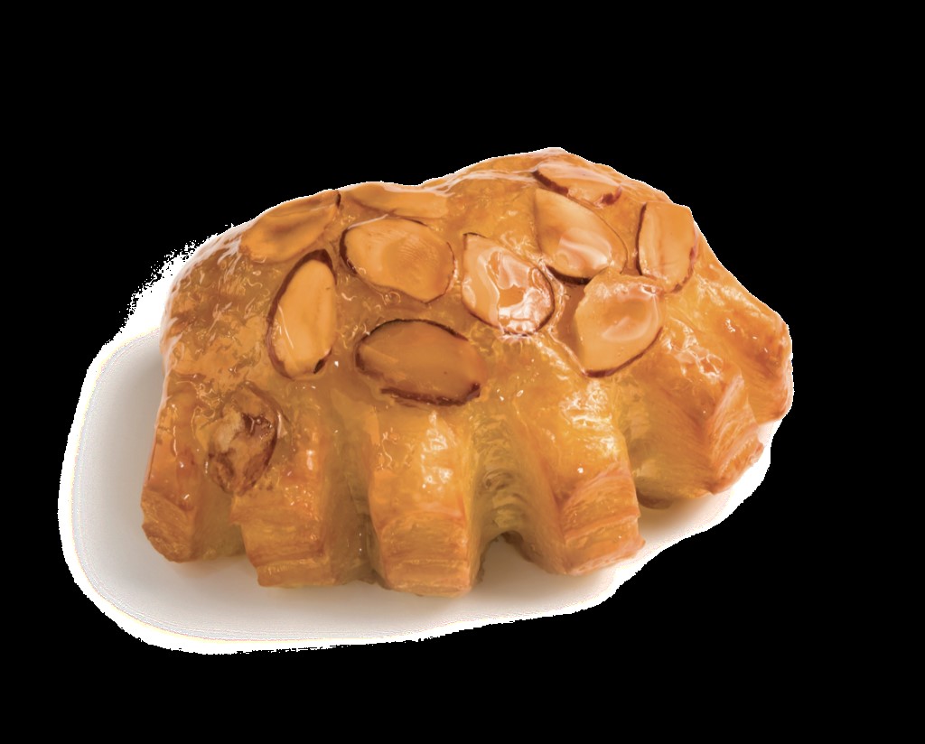 Bear Claw Almond Danish