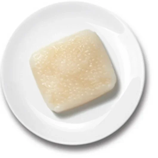 Pureed Rice