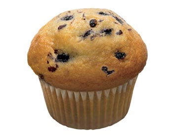 Wild Blueberry Muffin