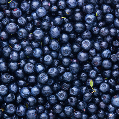 Wild Blueberries