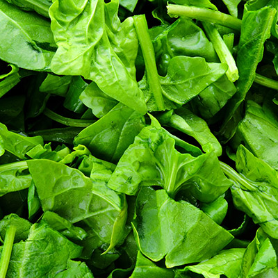 Iqf Chopped Spinach